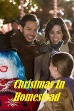 Watch Christmas in Homestead Niter