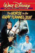Watch The Horse in the Gray Flannel Suit Niter