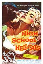Watch High School Hellcats Niter