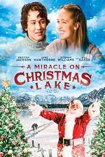 Watch A Miracle on Christmas Lake Niter