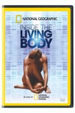 Watch National Geographic The Incredible Human Body Niter