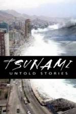 Watch Tsunami: Untold Stories Niter