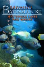 Watch Adventure Bahamas 3D - Mysterious Caves And Wrecks Niter