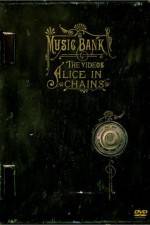 Watch Alice in Chains Music Bank - The Videos Niter