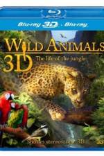 Watch Wild Animals - The Life of the Jungle 3D Niter