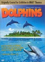 Watch Dolphins (Short 2000) Niter