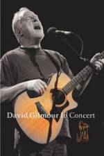 Watch David Gilmour in Concert - Live at Robert Wyatt's Meltdown Niter