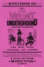 Watch The Velvet Underground Niter