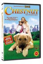 Watch Chestnut - Hero of Central Park Niter