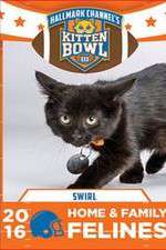 Watch Kitten Bowl III Niter
