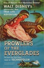Watch Prowlers of the Everglades (Short 1953) Niter