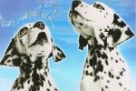 Watch 101 Dalmatians Sing Along Niter