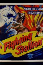 Watch The Fighting Stallion Niter