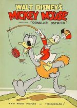 Watch Donald\'s Ostrich (Short 1937) Niter
