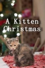 Watch A Kitten Christmas Niter