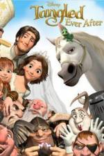 Watch Tangled Ever After Niter