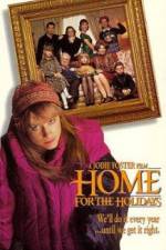 Watch Home for the Holidays Niter