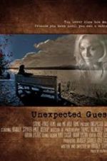 Watch Unexpected Guest Niter