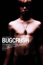 Watch Bugcrush Niter