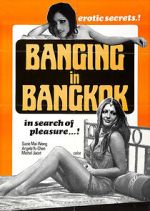 Watch Hot Sex in Bangkok Niter