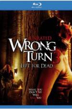 Watch Wrong Turn 3: Left for Dead Niter