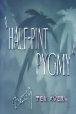 Watch Half-Pint Pygmy Niter