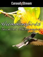 Watch Hummingbirds Jewelled Messengers Niter