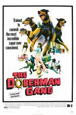 Watch The Doberman Gang Niter