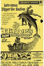 Watch Flippers New Adventure Niter