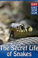 Watch The Secret Life of Snakes Niter