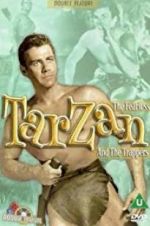 Watch Tarzan and the Trappers Niter