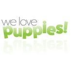 Watch We Love Puppies Niter