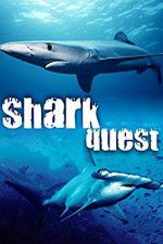 Watch Shark Quest Niter