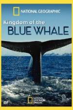 Watch National Geographic Kingdom of Blue Whale Niter