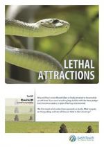 Watch Lethal Attractions Niter