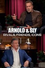 Watch Arnold & Sly: Rivals, Friends, Icons Online Niter