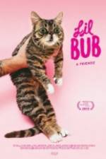 Watch Lil Bub & Friendz Niter