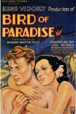 Watch Bird of Paradise Niter
