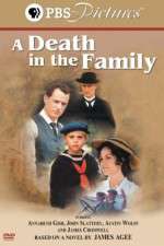 Watch A Death in the Family Niter