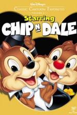 Watch Chip an' Dale Niter