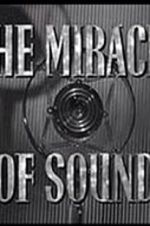 Watch The Miracle of Sound Niter