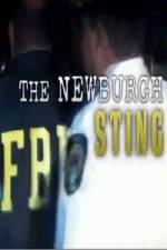 Watch The Newburgh Sting Niter