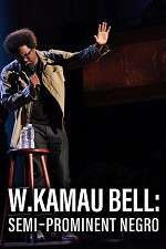 Watch W. Kamau Bell: Semi-Promenint Negro Niter