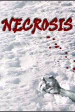 Watch Necrosis Niter