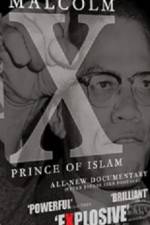 Watch Malcolm X Prince of Islam Niter