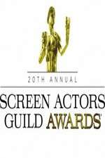 Watch The 20th Annual Screen Actors Guild Awards Niter