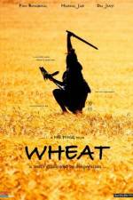 Watch Wheat Niter