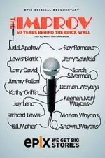 Watch The Improv: 50 Years Behind the Brick Wall (TV Special 2013) M4ufree