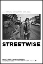 Watch Streetwise Niter