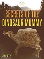Watch Secrets of the Dinosaur Mummy Niter